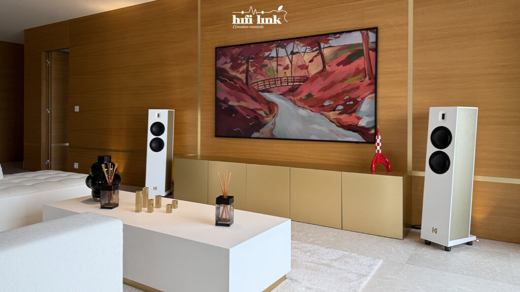 installation hifi de la semaine à Cannes